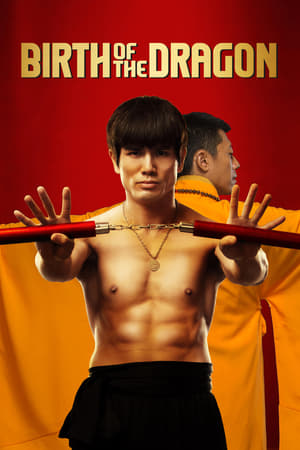 Birth of the Dragon (2016) Hindi Dual Audio [1.2GB] HD Poster Download - filmyfly