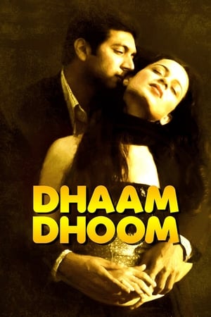 Dhaam Dhoom 2008 Dual Audio [Hindi - Tamil] [1.3GB] HD Poster Download - filmyfly