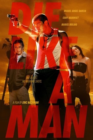 Die Like a Man (2025) Hindi (MULTI AUDIO) – – HD Poster Download - filmyfly