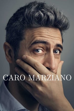 Marzi (2020) Season 1 All Episodes Hindi [Complete] – HD Poster Download - filmyfly
