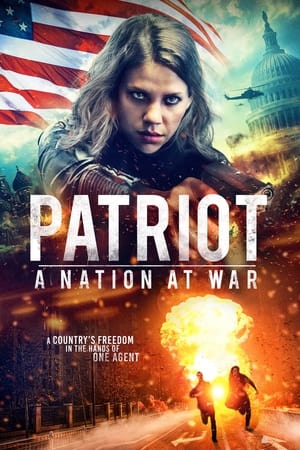Patriot A Nation at War 2020 Hindi Dual Audio [930MB] HD Poster Download - filmyfly