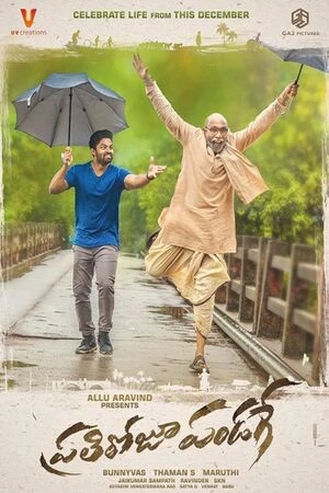 Prati Roju Pandaage 2019 Hindi Dual Audio HD Poster Download - filmyfly