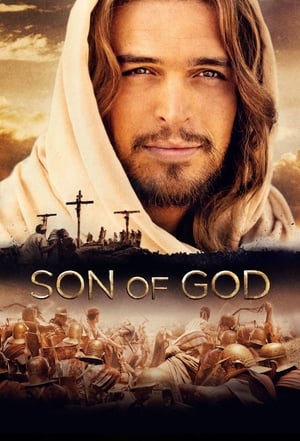 Son of God 2014 Hindi Dual Audio [980MB] HD Poster Download - filmyfly