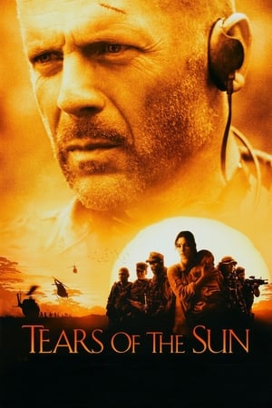 Tears of The Sun (2003) 100mb Hindi Dual Audio movie Download HD Poster Download - filmyfly